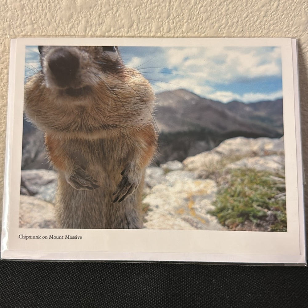Beautiful cards - Picture 10 of 12